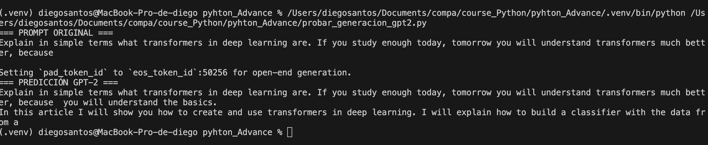 codigo_probar_generacion_gpt2.py