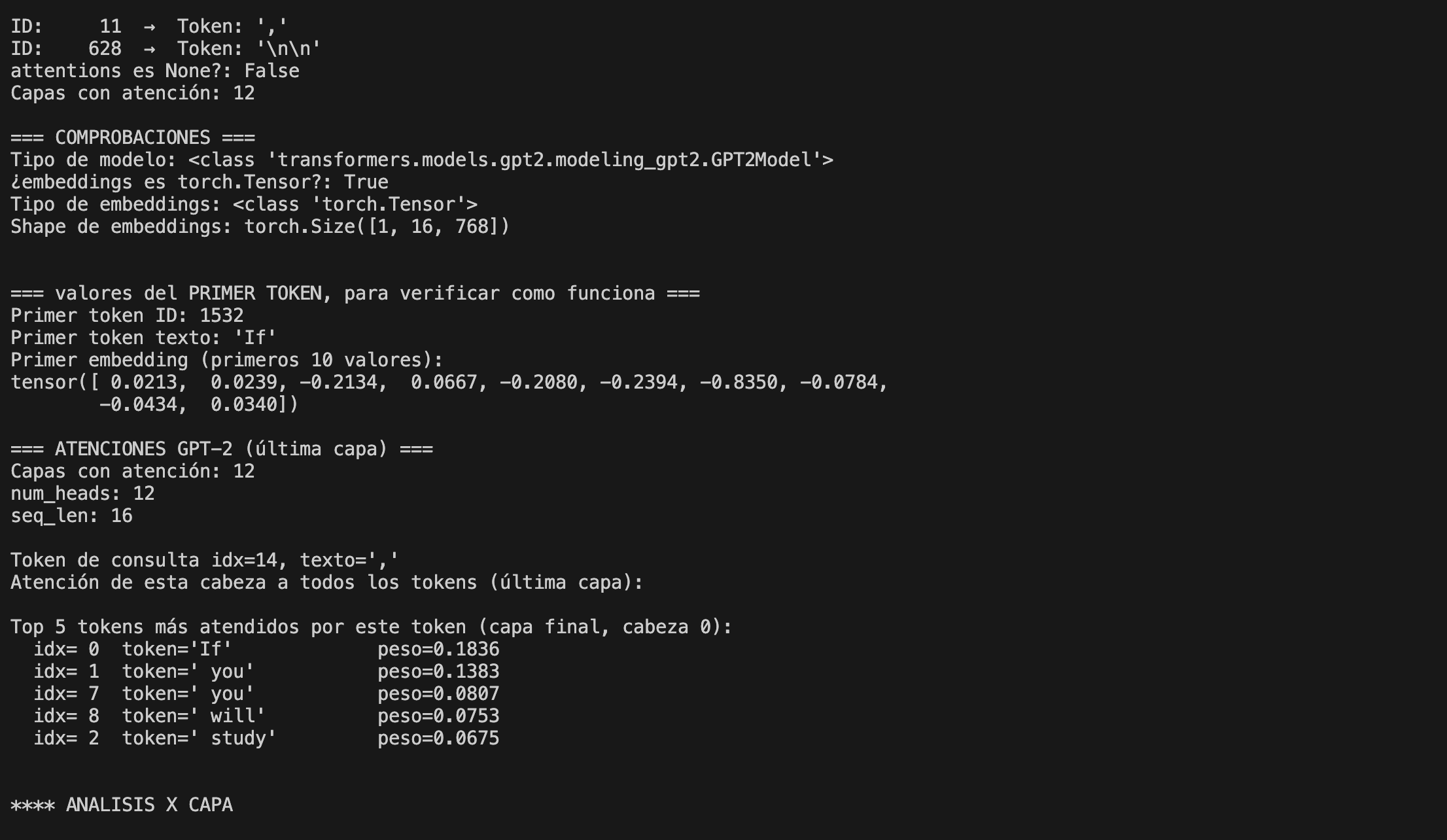 probar_gpt2_tokenizer.png